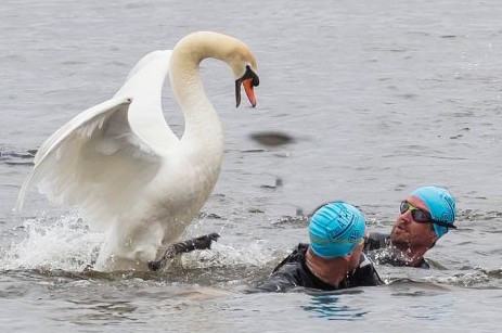 Les critères de choix du modèle de son bonnet de natation